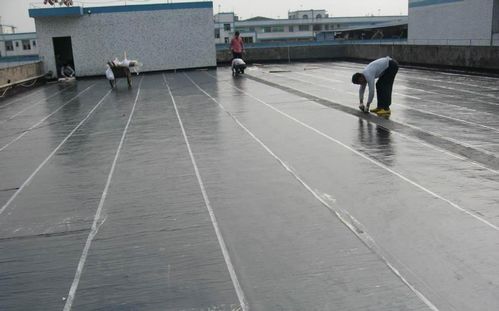 如何鑒定防水卷材和防水涂料的質量？簡單幾招保障防水效果